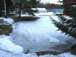 Укрепление берега пруда лиственницей