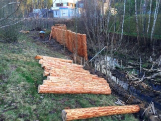 Укрепление берега лиственницей