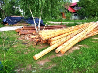 Укрепление берега пруда лиственницей